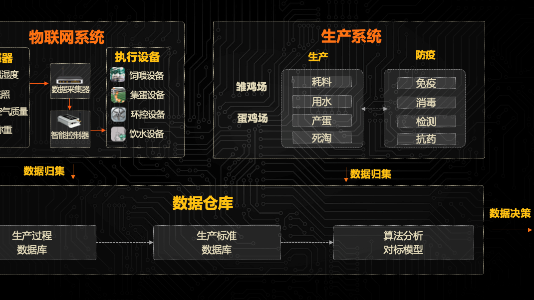 以數(shù)字化、智能化推動蛋雞產(chǎn)業(yè)高質(zhì)量發(fā)展